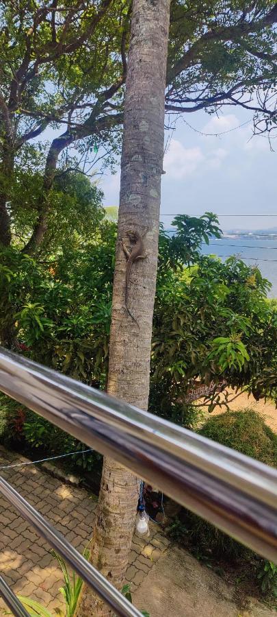 Jungle Beach Restaurant And Hotel-Jbr กอลล์ ภายนอก รูปภาพ
